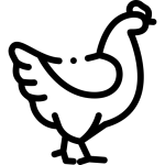 cropped-chicken_4868143.png